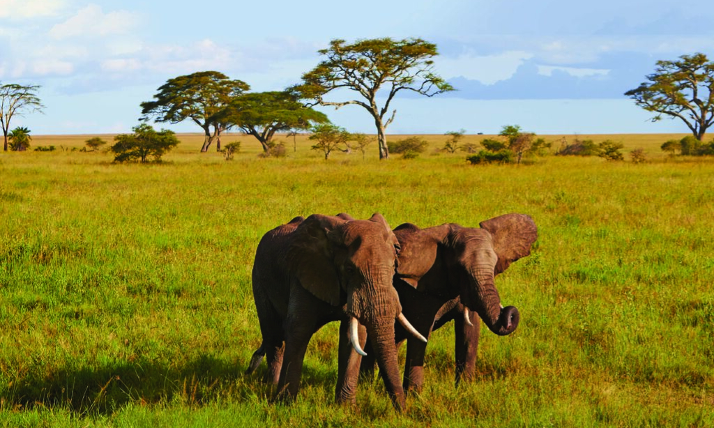 WOW Momente mit Hapag Lloyd Cruises in Sicht - Afrikas wilde Schönheiten